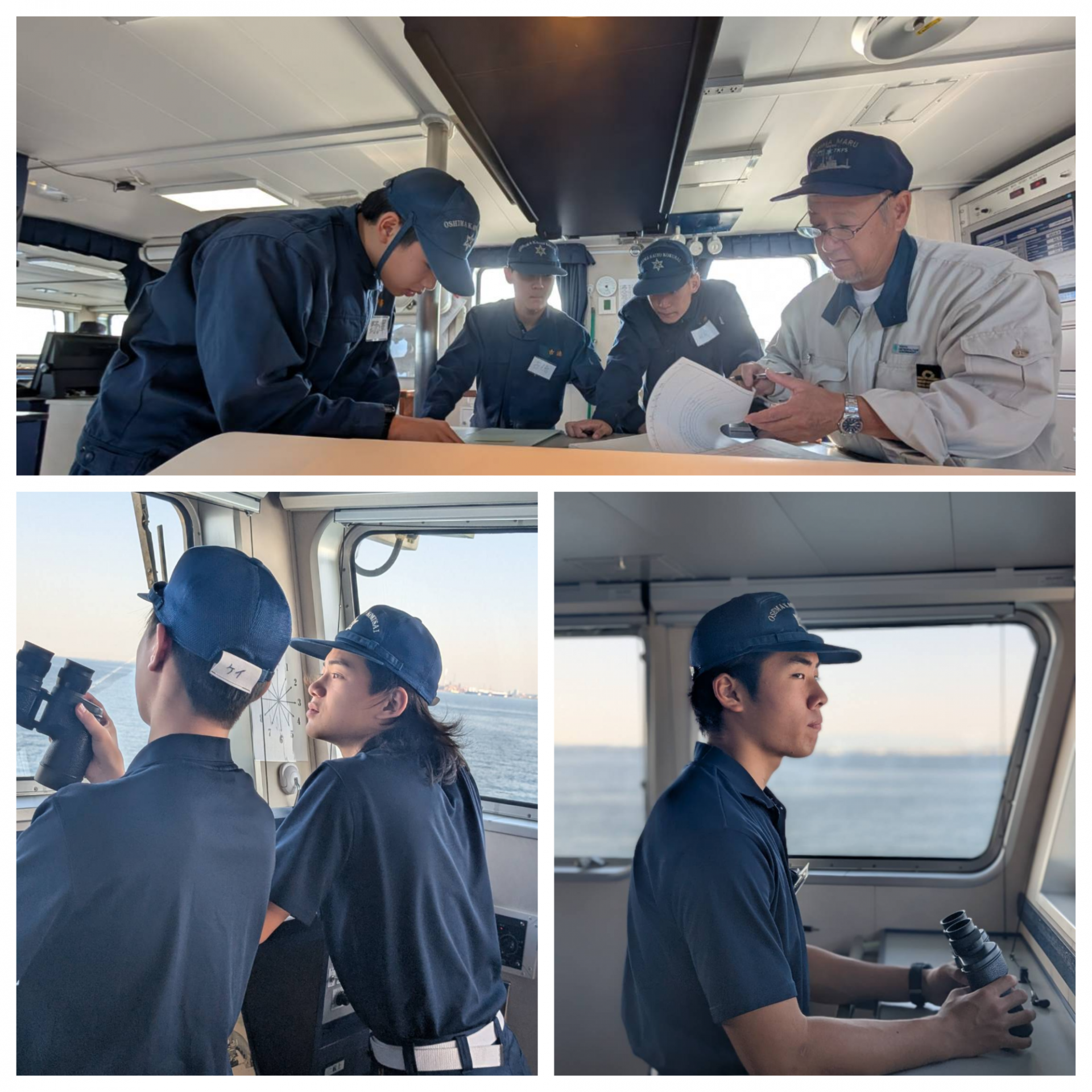 Blank 3 Grids Collage - 2025-11-09T154432.559